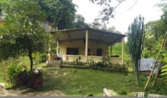 Luis Felipe – Finca in Barbosa, Antioquia